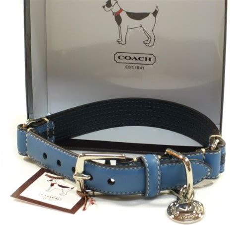 coach dog collar large.